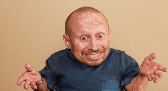 Verne Troyer Net Worth