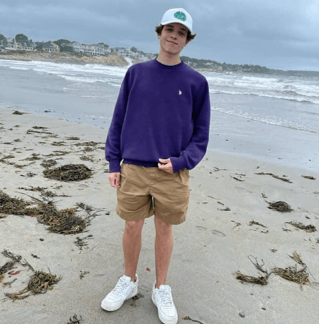 What Is Matt Sturniolo's Net Worth