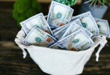 d4vd s financial achievements revealed