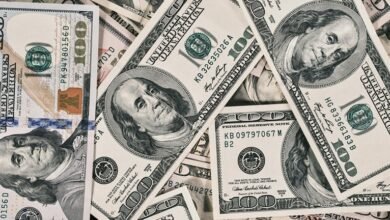lauren jumps financial value inquiry