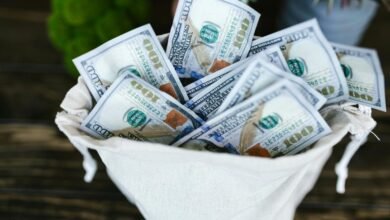 lejuan james financial success