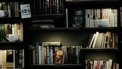 guy willison biography details