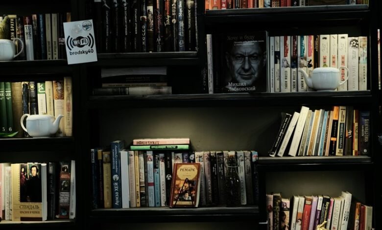 guy willison biography details