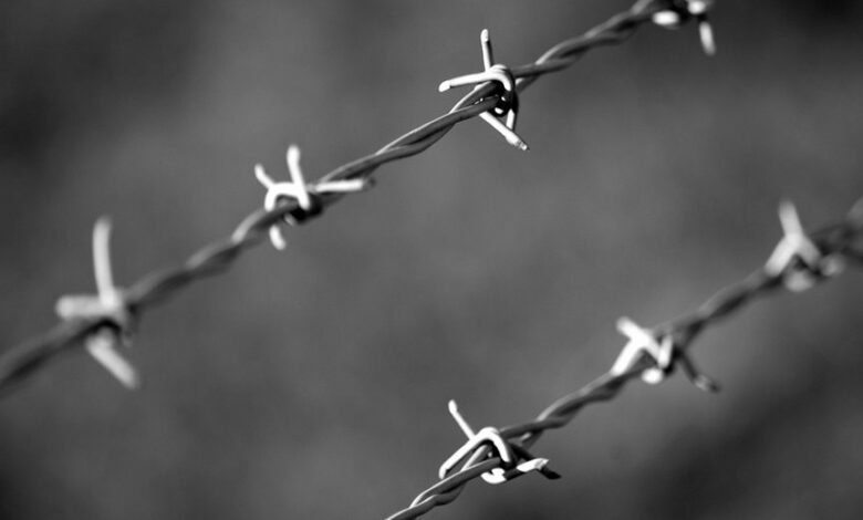 anomaly check hotline numbers