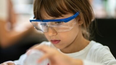 fraud protection hotline numbers