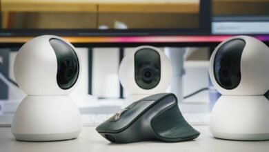 identity fraud monitoring network