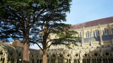 crypto batter call history