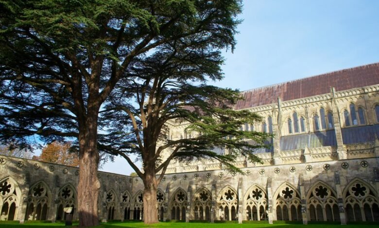 crypto batter call history